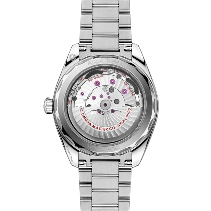 AQUATERRA 150M 41MM - Image 3